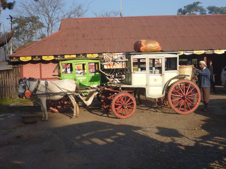 An unusual site in Burma, but not in Pyin Oo Lwin. And not just for tourists, here bring produce to the station.